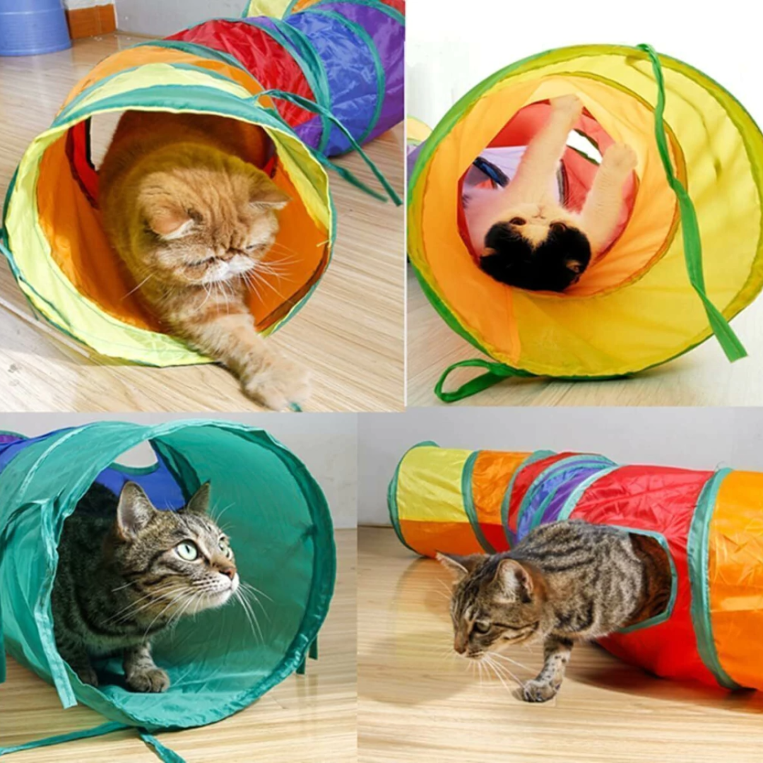 Túnel Arcoíris Para Gatos - Imagen 2