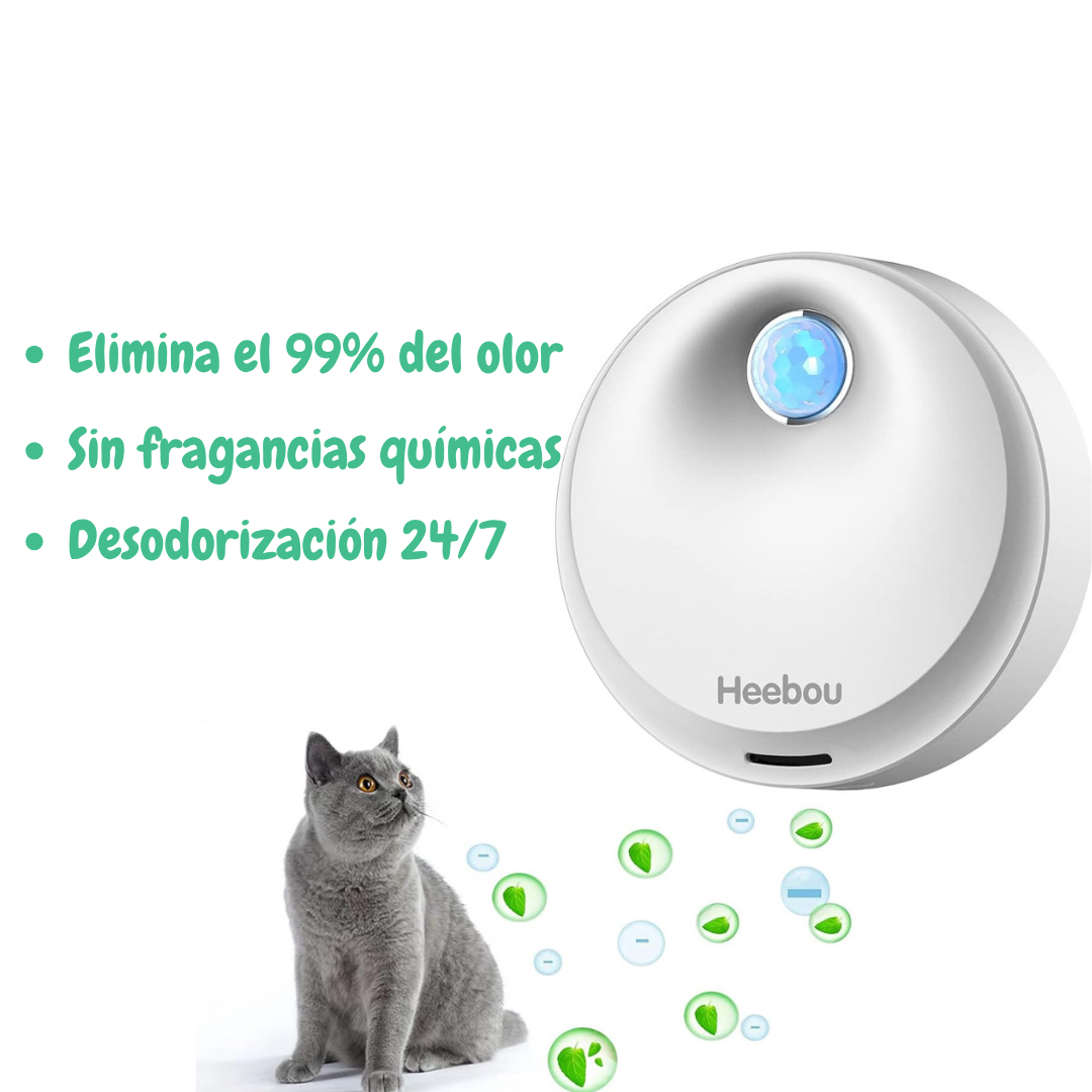 KIT HOGAR EN ARMONÍA - Imagen 4